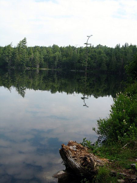 100705_1316.JPG
