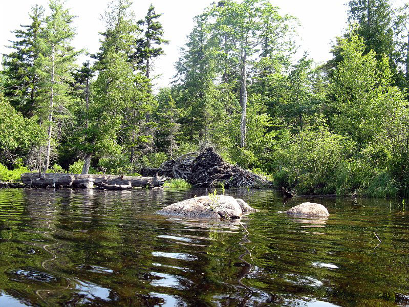 100705_1350.JPG