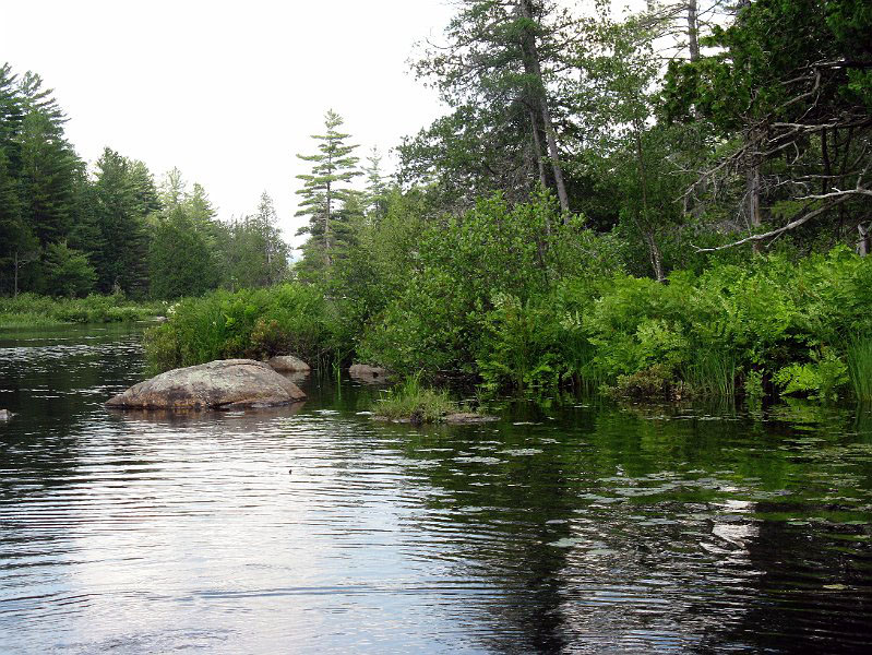 100706_1408.JPG