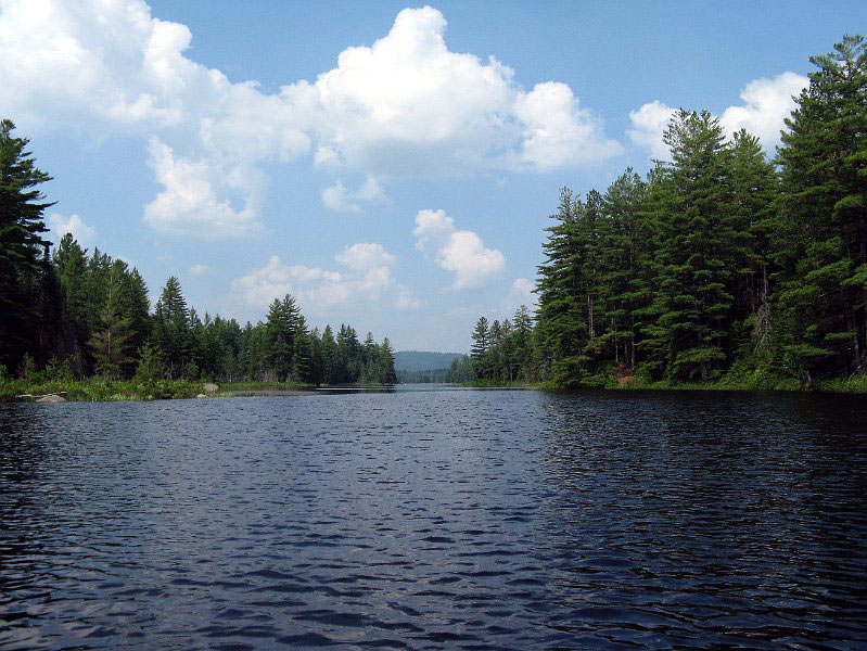 100706_1416.JPG