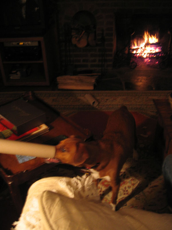 0812240003.JPG