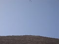 0903090021