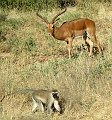 day03IMG_0297