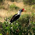 day03IMG_2225