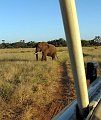 day03IMG_2256