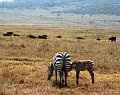 day04IMG_2350