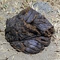 day05IMG_0510