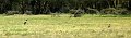 day05IMG_0514