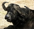 day05IMG_2417