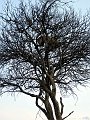 day06IMG_0596