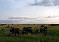 day06IMG_2489