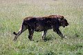 day06IMG_2536