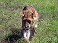 day06IMG_2555