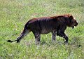 day06IMG_2559