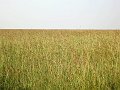 day07IMG_0695