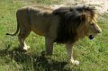 day07IMG_0738