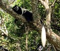 day07IMG_0769