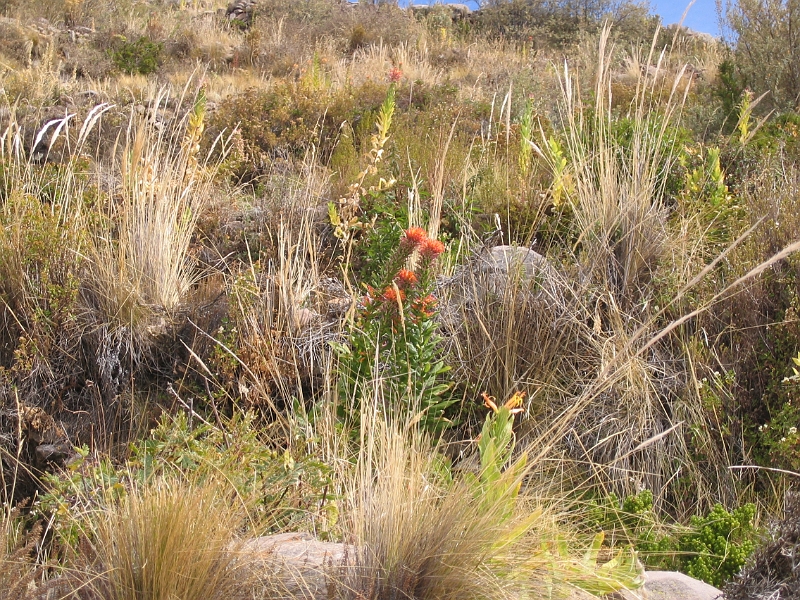 0806150025.JPG - Day 9, Sunday, June 15. Taquile Island, Lake Titicaca.