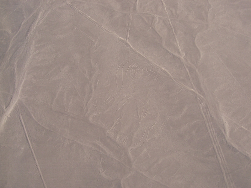 0806190015.JPG - Day 13, Thursday, June 19, Nazca Lines.