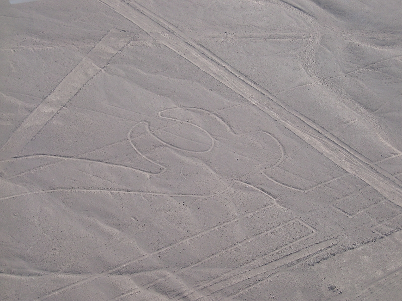 0806190029.JPG - Day 13, Thursday, June 19, Nazca Lines.