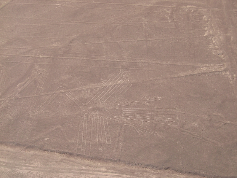0806190031.JPG - Day 13, Thursday, June 19, Nazca Lines.