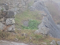 0806110035