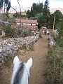 0806130040